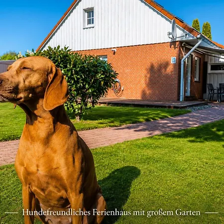 펜션 Ostseeferienhaus Usedom Am Achterwasser Hundefreundlich Naturlage Familie Christian Ziethen Lutow