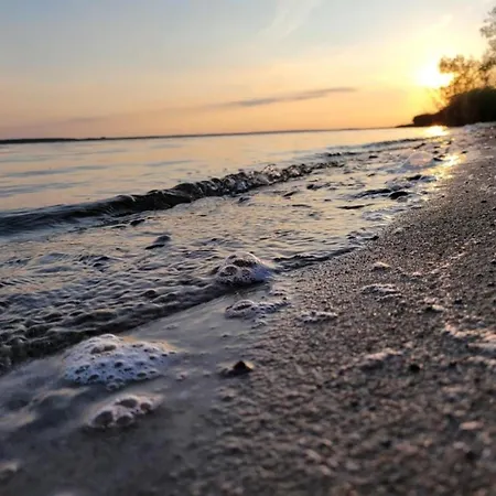 Ostseeferienhaus Usedom Am Achterwasser Hundefreundlich Naturlage Familie Christian Ziethen 펜션 Lutow